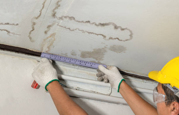 Reliable Water Damage Restoration contractor in East Wareham, MA by Water Damage Irwin